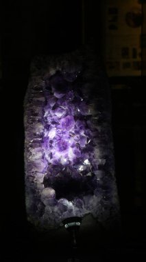 20 Ağustos 2019, Bandung, Endonezya: Bandung 'daki Jeoloji Müzesi' nde bulunan antik hayvan kemiklerinin fosilleri