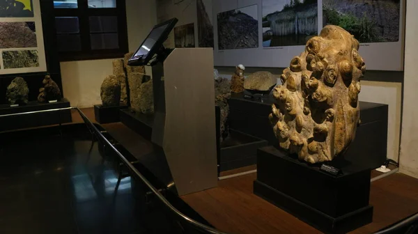 2018 Bandung Indonesia Fossils Ancient Animal Bone Locked Geological Museum — 스톡 사진