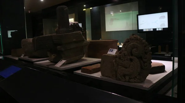 Августа 2019 Года Индонезии Геологическом Музее Города Чунг Обнаружены Останки — стоковое фото
