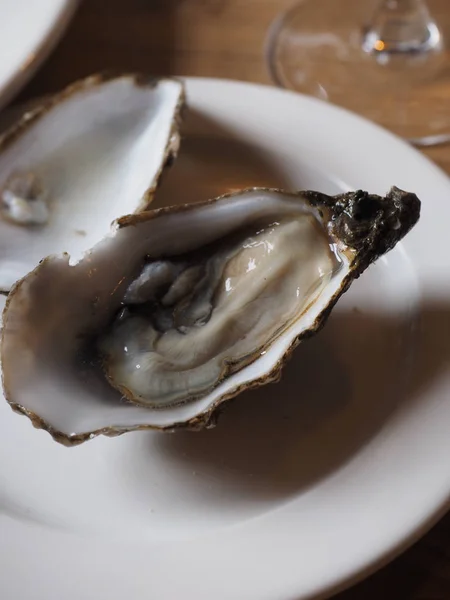 Oyster Morans Washington Всемирно Известная Устричная Кошка Ресторан Roymore Kilcolgan — стоковое фото