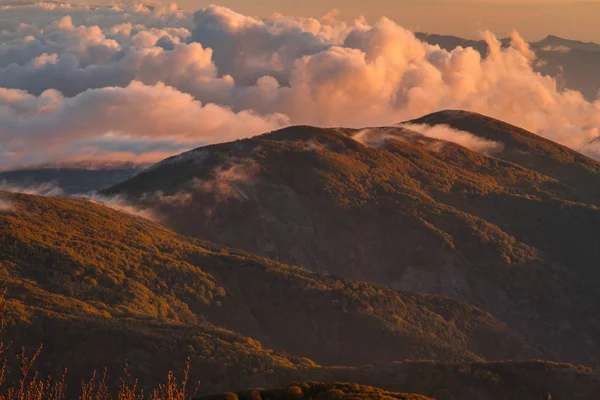 Cima Del Parque Nacional Aspromonte Calabria Italia Europa —  Fotos de Stock