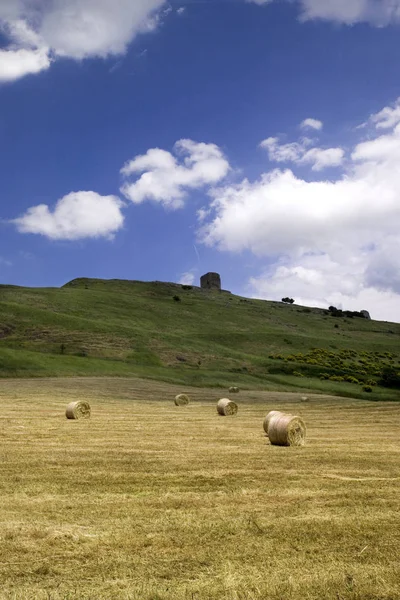 Landscape Tower Satriano Lucania Basilicata Italy — Stock Photo, Image