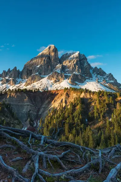 Solopgang Ved Sass Putia Peitlerkofel Passo Delle Erbe Dolomitterne Trentino - Stock-foto