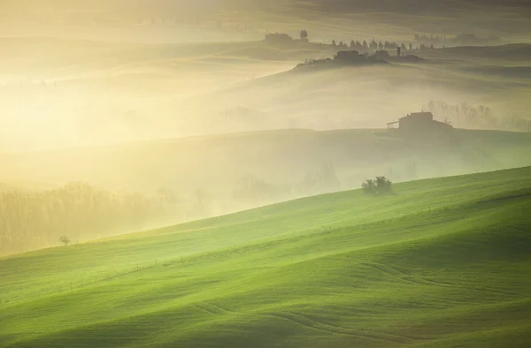 Countryside San Quirico Orcia Countryside Val Orcia Tuscany Italy Europe — Stock Photo, Image