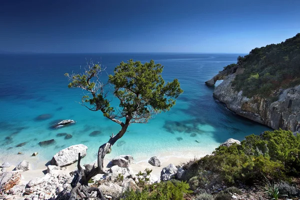 Cala Goloritz Strand Baunei Sardinien Italien Europa — Stockfoto