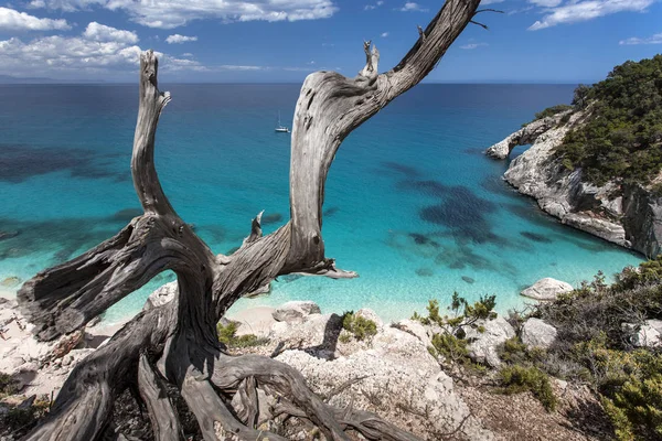 Cala Goloritz Plage Côte Baunei Sardaigne Italie Europe — Photo