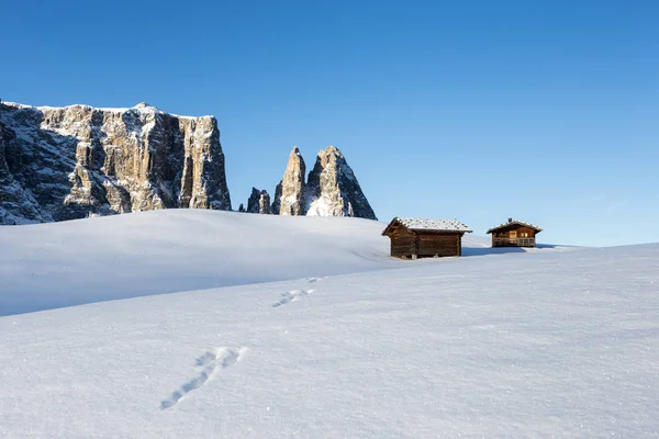 Skiliar Doruklarına Sahip Alpe Siusi Seiser Alm Kış Manzarası Alpe — Stok fotoğraf