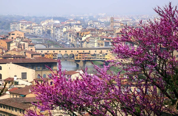 Vår Florens Och Ponte Vecchio Florens Toscana Italien — Stockfoto