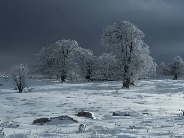 Schneelandschaft Bei Bes Alm Auf Der Hochebene Von Brentonico Monte — Stockfoto