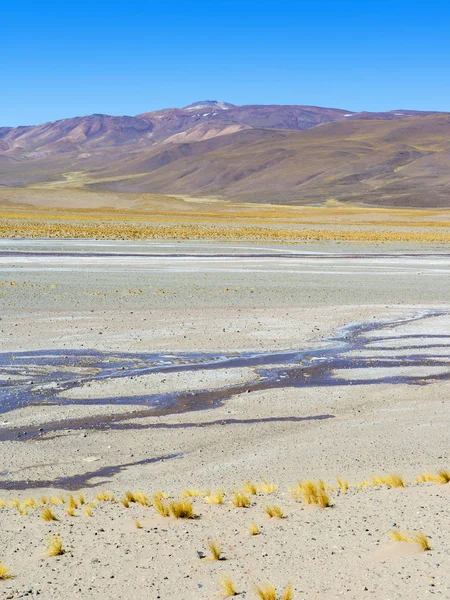 Altiplano Argentino Largo Ruta Entre Antonio Los Cobres Olcapato América — Foto de Stock