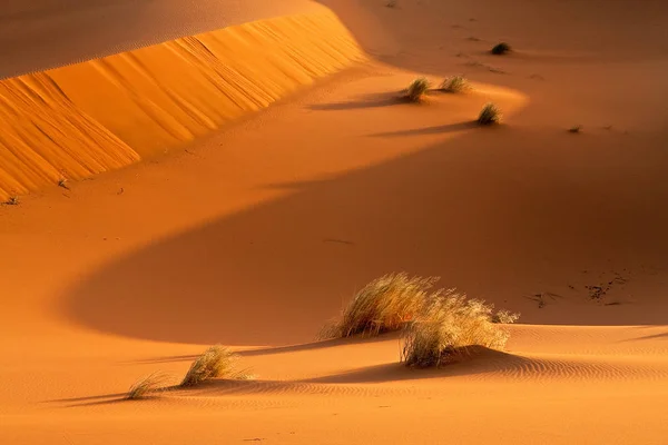 Dünen Wüste Sahara Marokko Nordafrika — Stockfoto