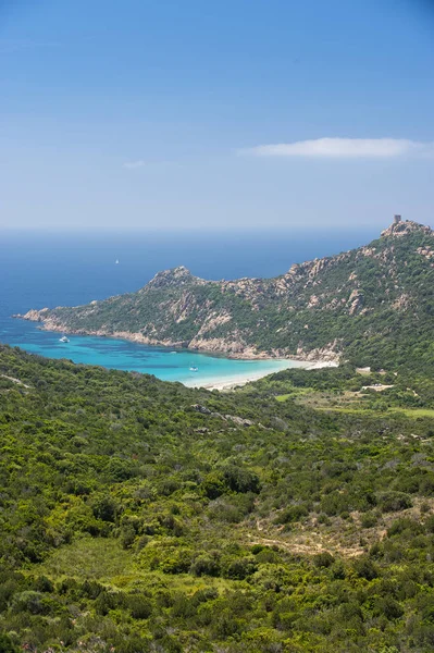 Sandstrand Und Bucht Von Roccapina Korsika Frankreich Europa — Stockfoto