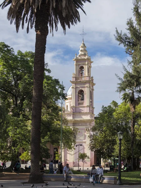 萨尔塔大教堂 Santuario Nuestro Senor Virgen Del Milagro 阿根廷北部Salta镇位于安第斯山脉山脚下 Salta Linda — 图库照片