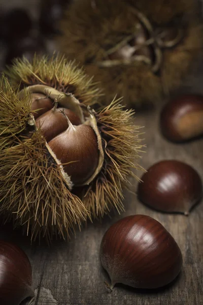 Castagne Con Riccio Legno Sicilia — Foto Stock