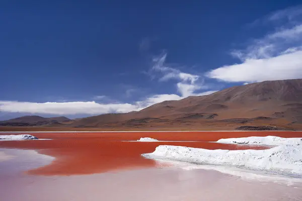 Laguna Colorada Eduardo Avaroa Andes Fauna National Reserve Zuid Lipez — Stockfoto