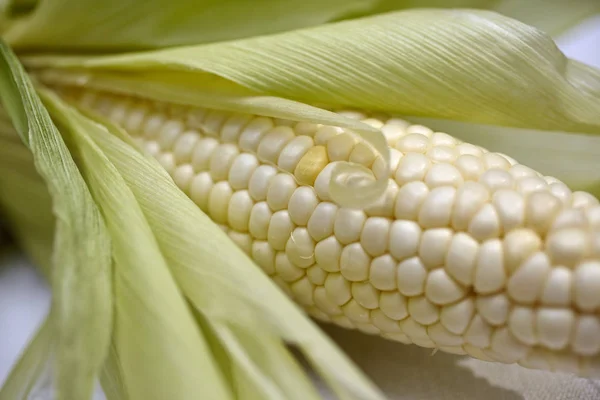 Zbliżenie Kolb Kukurydzy Białej Powierzchni — Zdjęcie stockowe