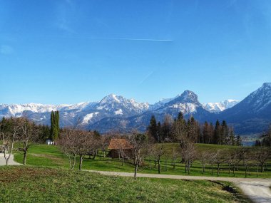 karlı zirveleri ile Alpler'de orman yakınında Avusturya'da ev