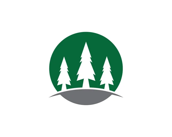 Árvore de cedro modelo de logotipo —  Vetores de Stock