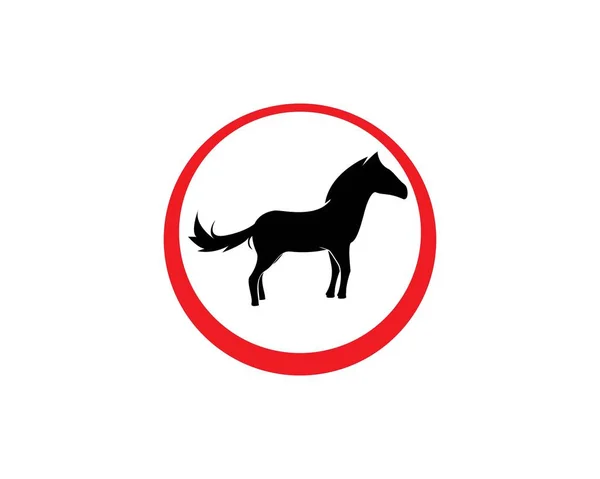 Plantilla de logotipo de caballo — Vector de stock