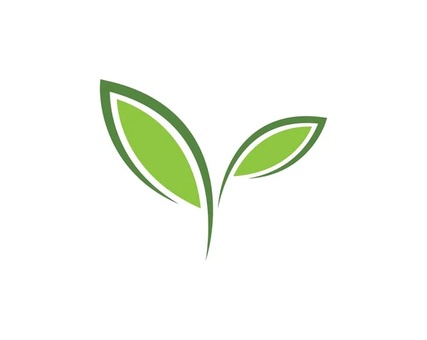 Grönt blad ekologi natur element — Stock vektor