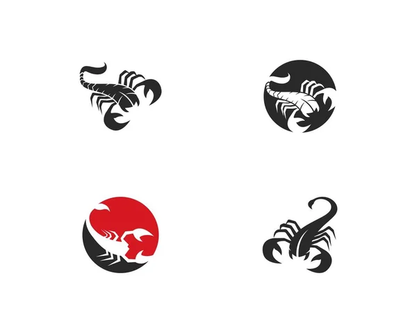 Modèle de logo Scorpion — Image vectorielle