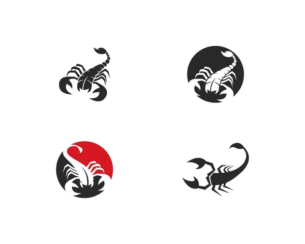 Modèle de logo Scorpion — Image vectorielle