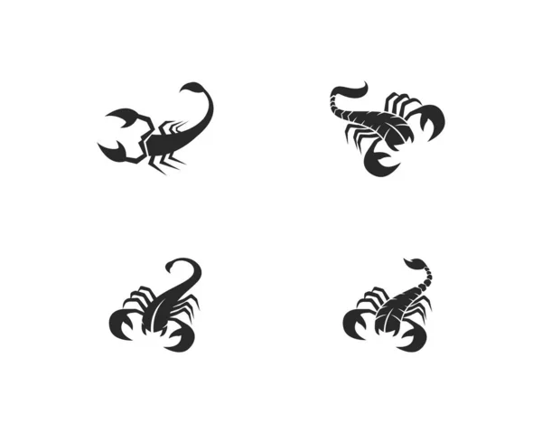 Scorpion Logo sjabloon — Stockvector