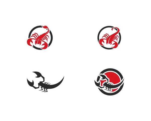 Modèle de logo Scorpion — Image vectorielle