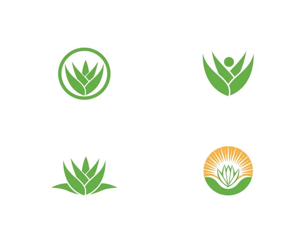 Aloe vera logo vector — Stock Vector