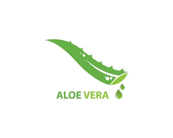 Aloe vera logo vektörü — Stok Vektör