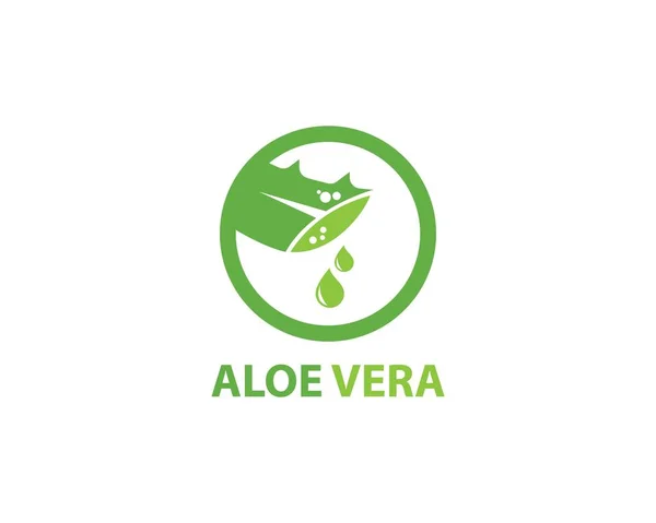Aloe vera logó vektor — Stock Vector