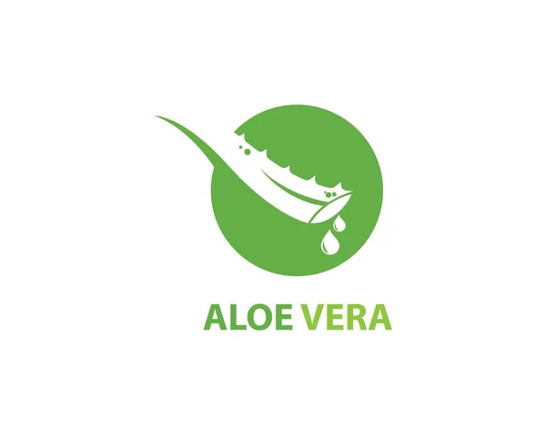 Aloe vera logo vektörü — Stok Vektör