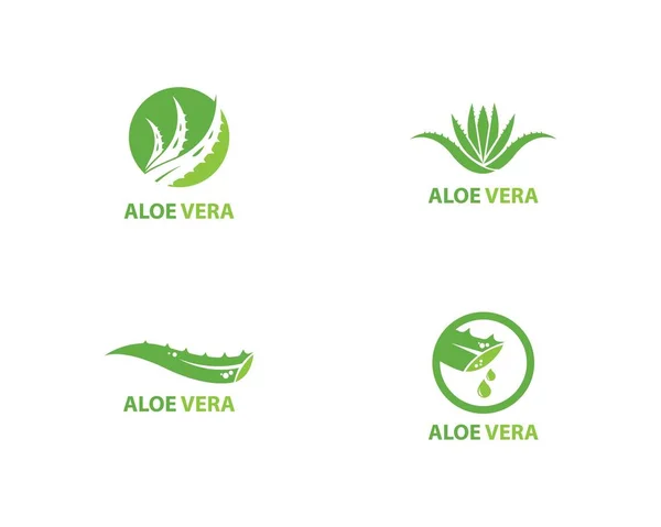 Aloe vera logo vektörü — Stok Vektör