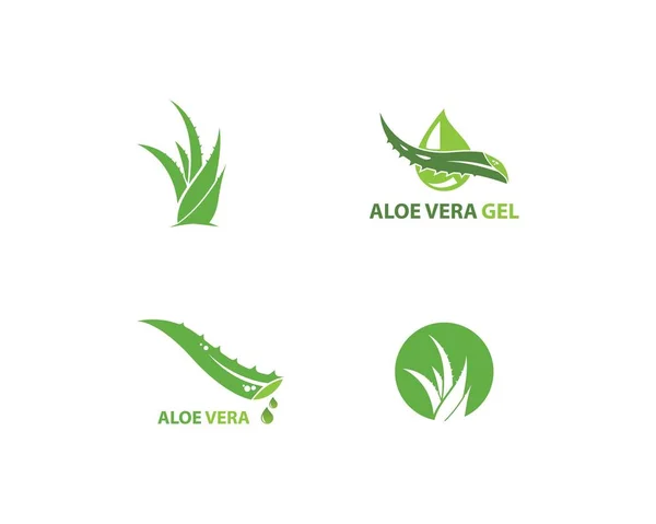 Aloe vera logo vektörü — Stok Vektör