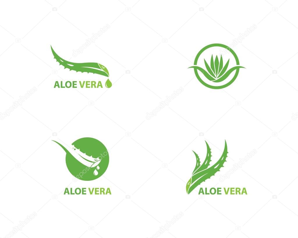 Aloe vera logo vector ilustration template