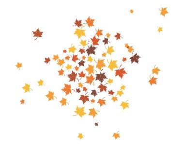 meşe yaprağı simgesi vektör tasarımı 