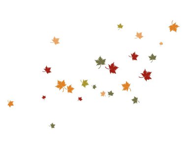 sonbahar yaprak vektör halat