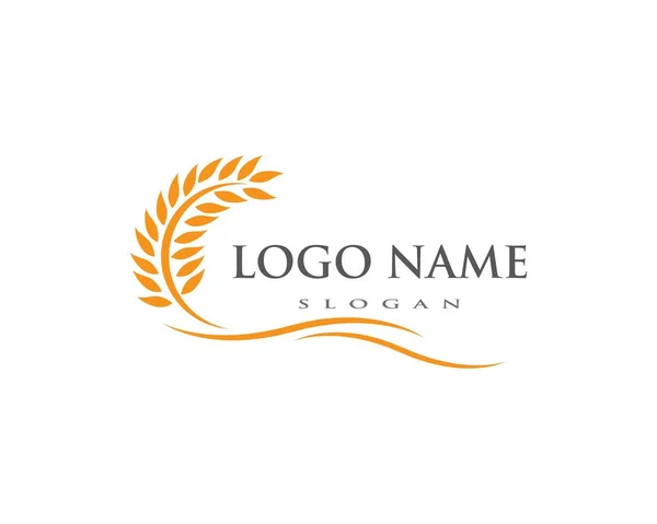 Wheat Logo Template vector — Stock Vector