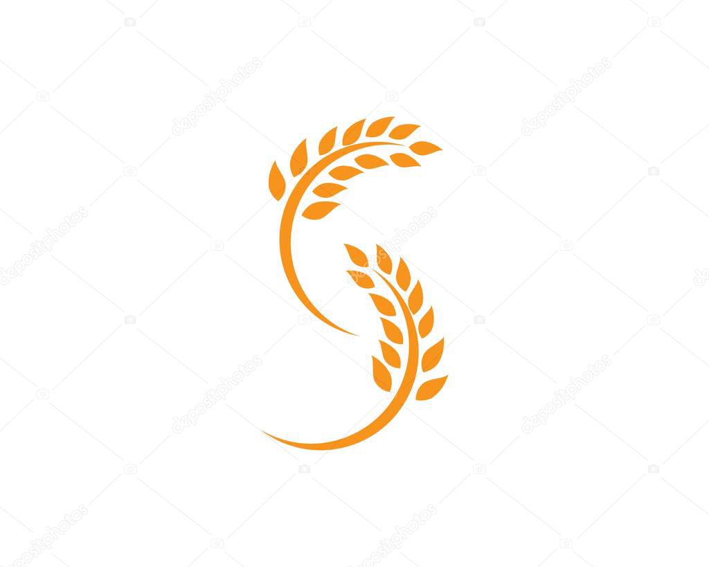 Agriculture wheat Logo Template vector icon design