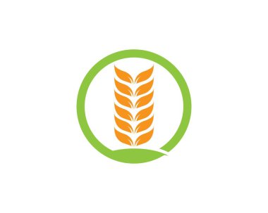 buğday logo şablonu