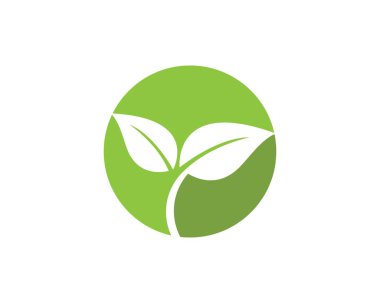  Yeşil yapraklı ekoloji doğa elementi