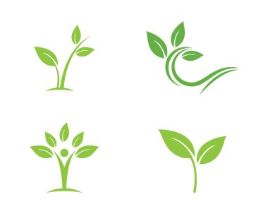  ekoloji doğa eleman vektör