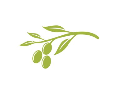 Zeytin logo şablonu
