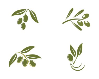 Zeytin logo şablonu