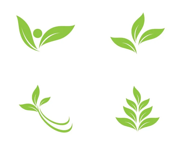 緑の葉生態系自然要素 — ストックベクタ