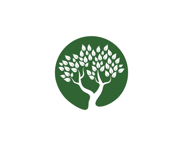 Árbol icono logotipo plantilla — Archivo Imágenes Vectoriales