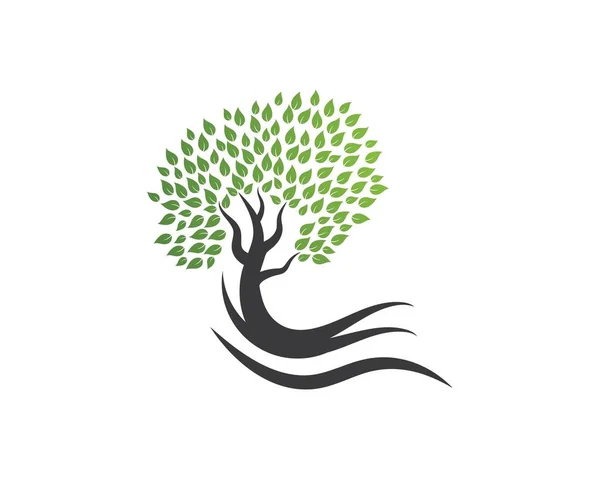 Árbol icono logotipo plantilla — Vector de stock