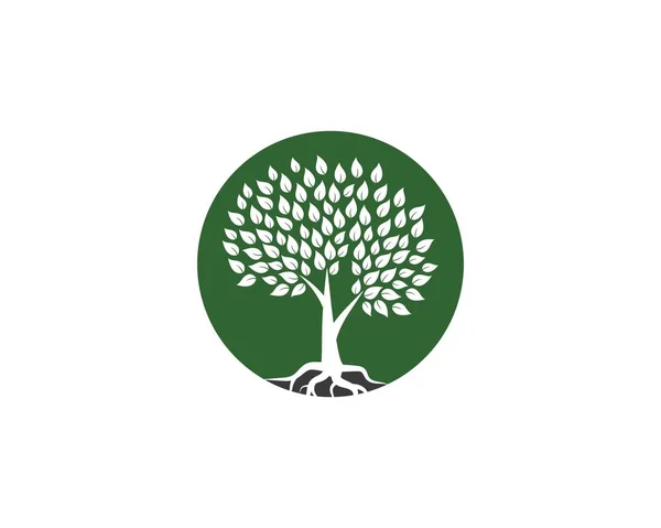 Árbol icono logotipo plantilla — Vector de stock