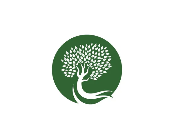 Ağaç simgesi logo şablonu — Stok Vektör