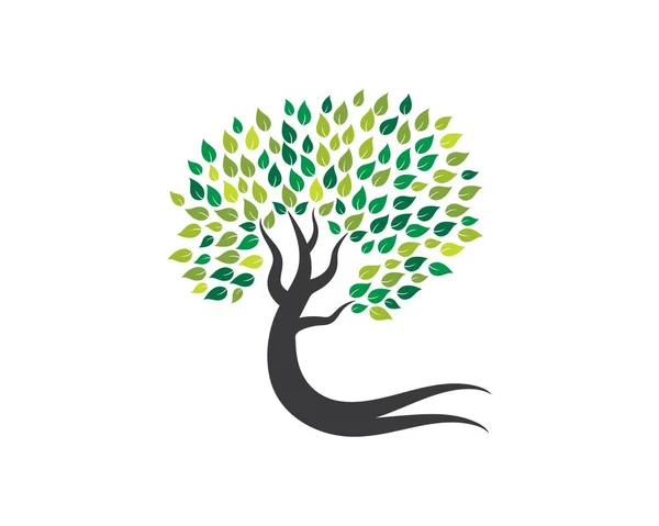 Árbol icono logotipo plantilla — Vector de stock